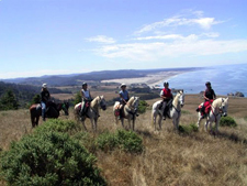 USA-California-Redwood Coast Ride